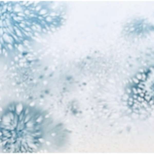 Hibernal Solstice 22 by Allison Svoboda, Image 1.