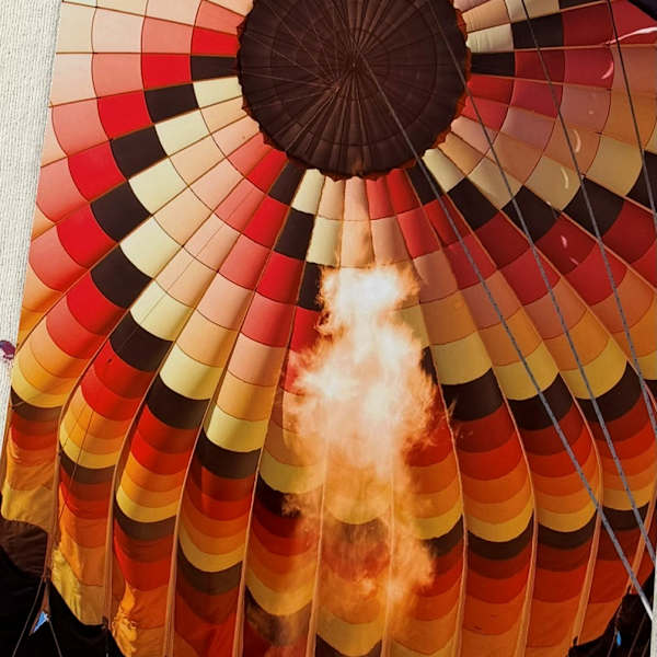 Untitled by Dwight Ryland, Image 1.