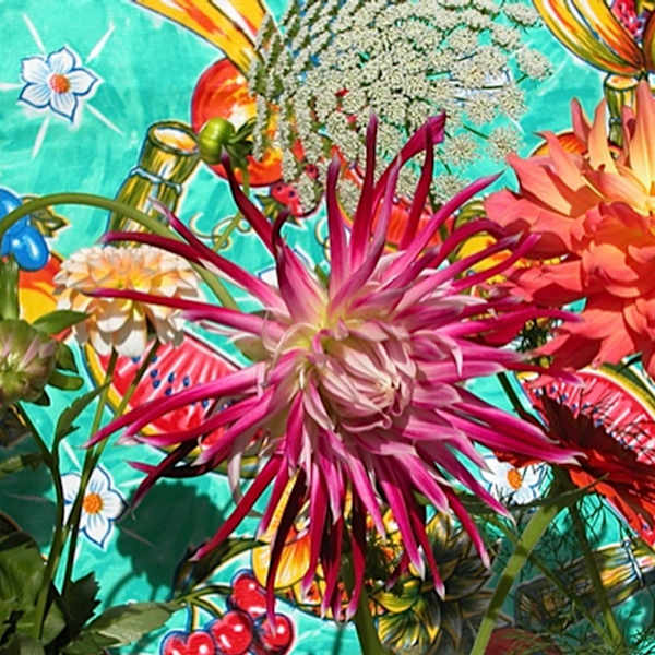 Picnic by Kristi Hager, Image 1.
