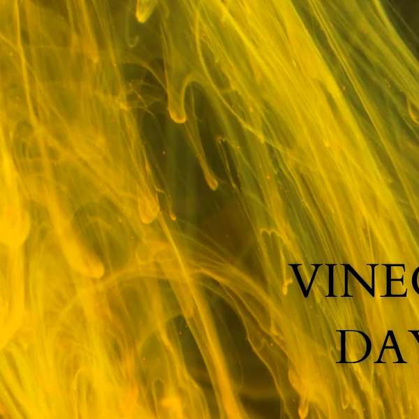 Vinegar Days by Tony Edelblute, Image 1.