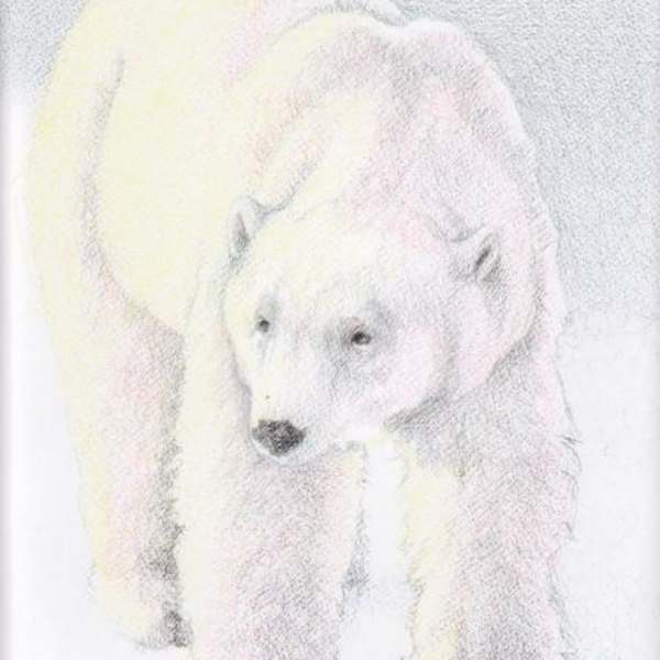 Holding Ground by Barbara Stone, Image 1.