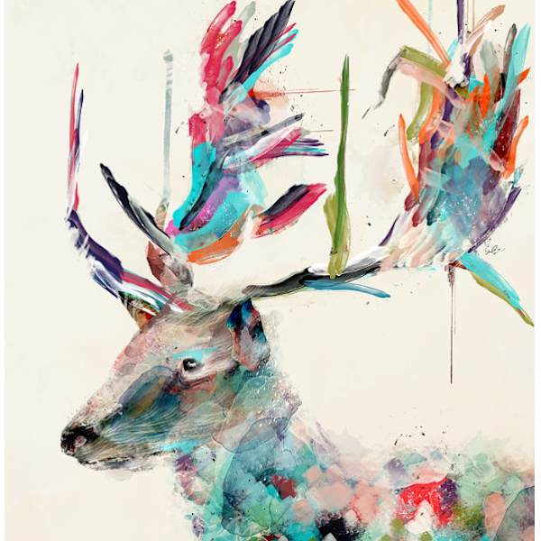 Into the Wild by Bri Buckley, Image 1.