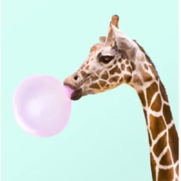 Giraffe by Paul Fuentes, Image 1.