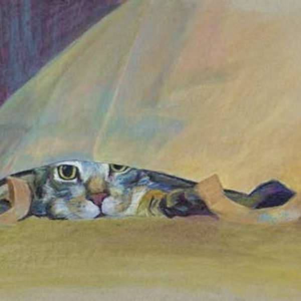 Rocky He's Hidden by Sandy Lindblab, Image 1.