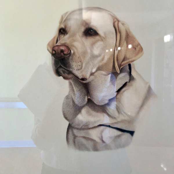 Lucky by Jay P.  Snell Grove, Image 5.
