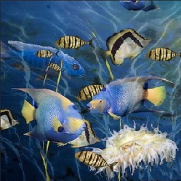 Tank by Bonnie Lhotka, Image 1.