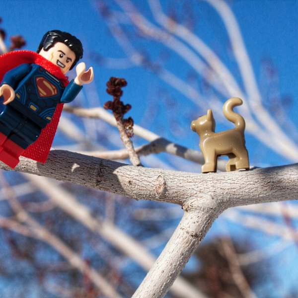 Superman Cat Rescue by Nicholas Honeysette, Image 1.