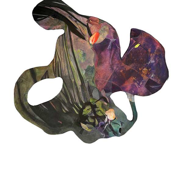 forms no. 4 by Marina Hauser, Image 3.