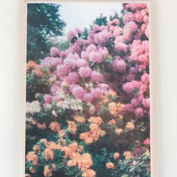 Pink Orange Florals by Elizabeth Corkery, Image 1.