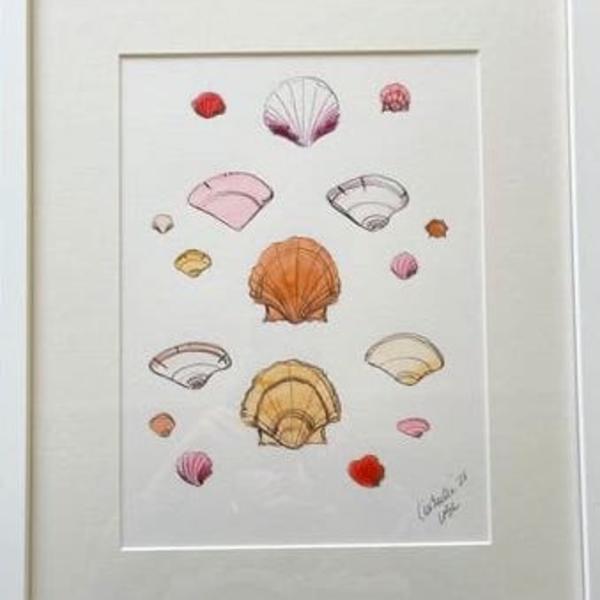 Pink Shells by Lia Burke Libaire, Image 2.