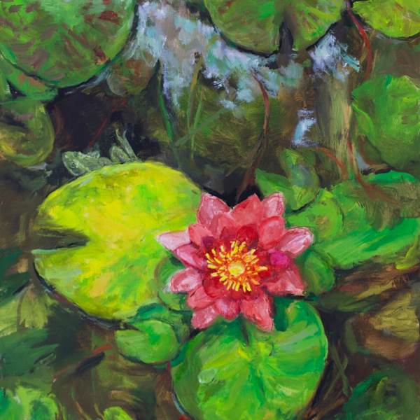 Water Lily by Cathy VanVoorhis, Image 1.