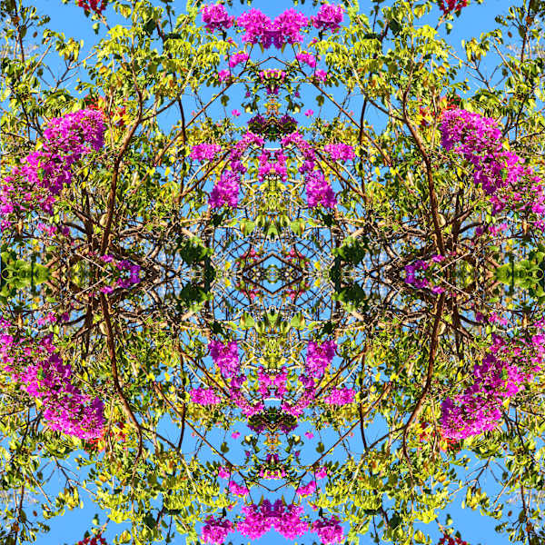 Flower Circus II by Jonathan Brooks, Image 1.