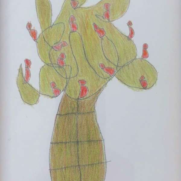 Cactus by Franz Kernbeis, Image 1.