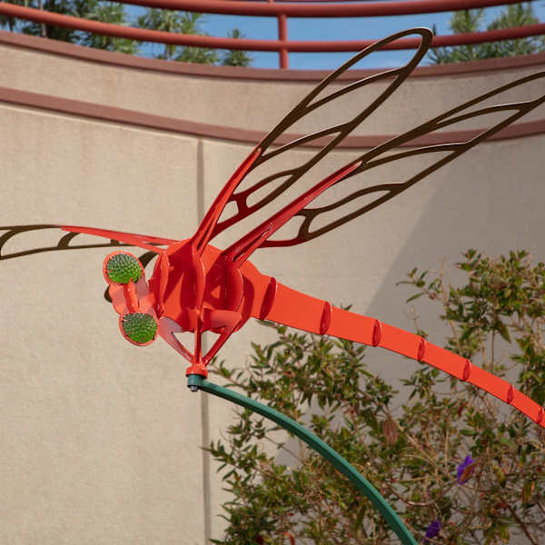 Dragonfly by Hossain Amjadi, Image 1.
