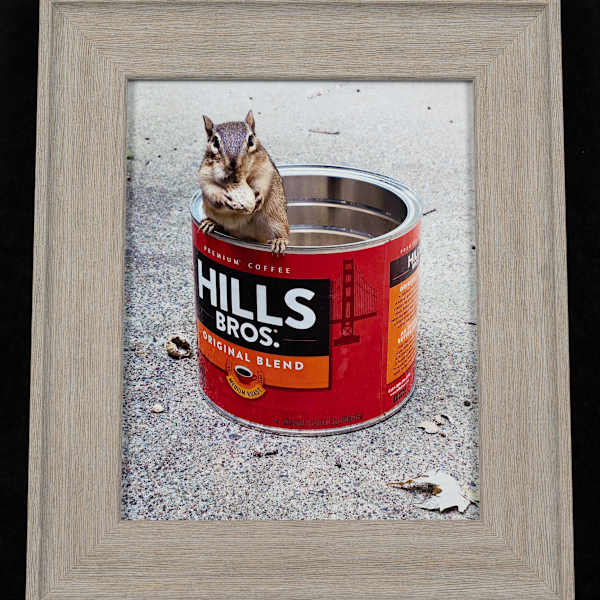 I'll Take a Coffee With That by Amy Campson, Image 4.