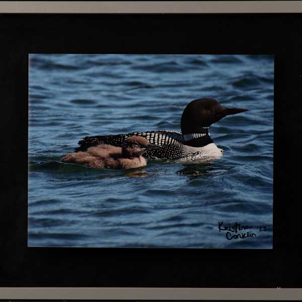 Chance Encounter by Kristina Conklin, Image 13.