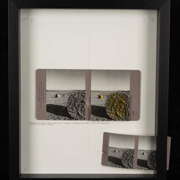 take 1 v1 - stereograph by Alan Howell, Image 15.