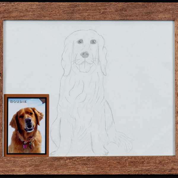 Boudie - Animal Ambassador by Eva Ozmun, Image 7.