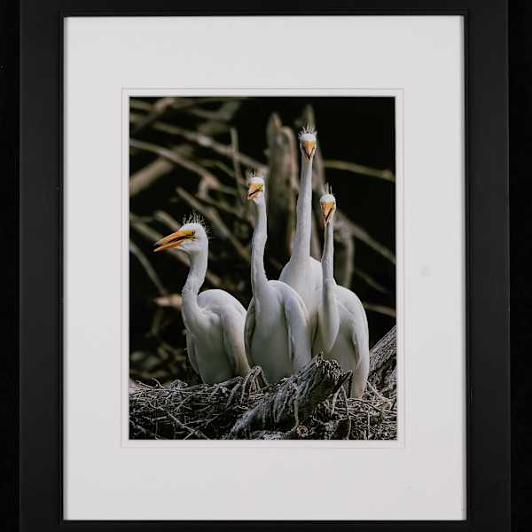 A Family Moment by Eileen Sabes, Image 11.