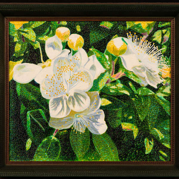 Blooming Myrtle by Douglas Trego, Image 10.