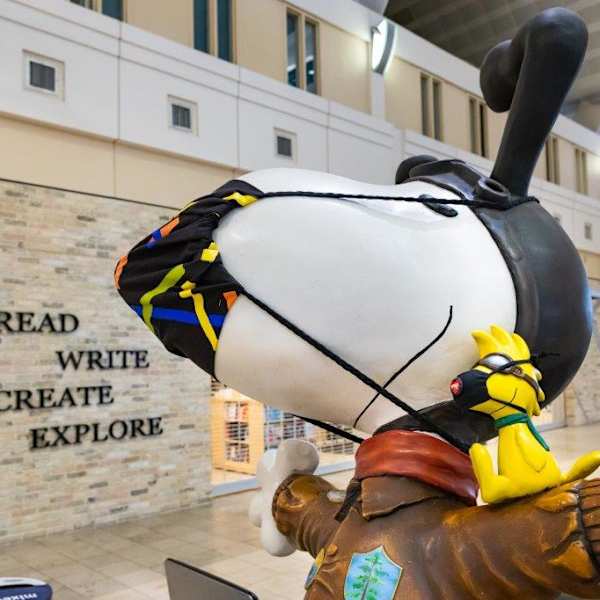 Snoopy The North Star Flying Ace by Patricia Owen, Image 2.