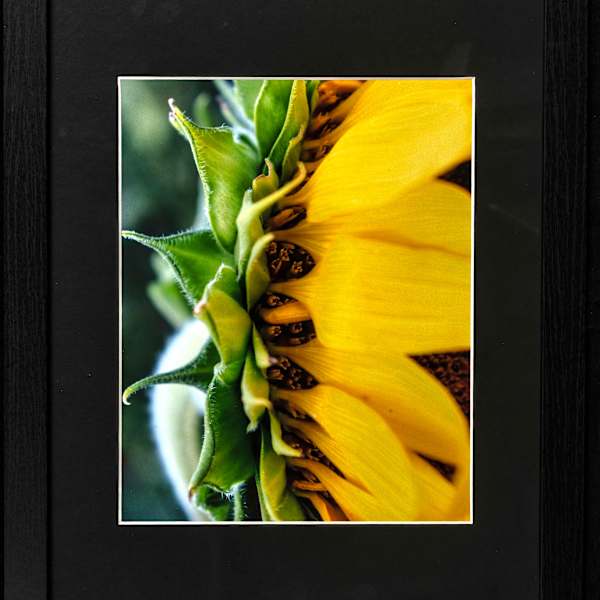 Behind Mama's Skirt by Patty Ruppert, Image 2.