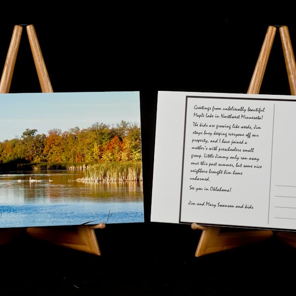 Swans Have Excellent Penmanship by Phil Burke, Image 8.