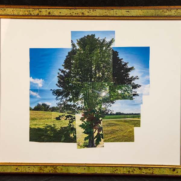 Blooming-Tree by Kieran Scott Manley, Image 4.