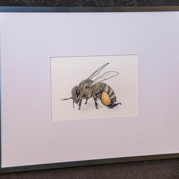Bee by Katie Pearson, Image 7.