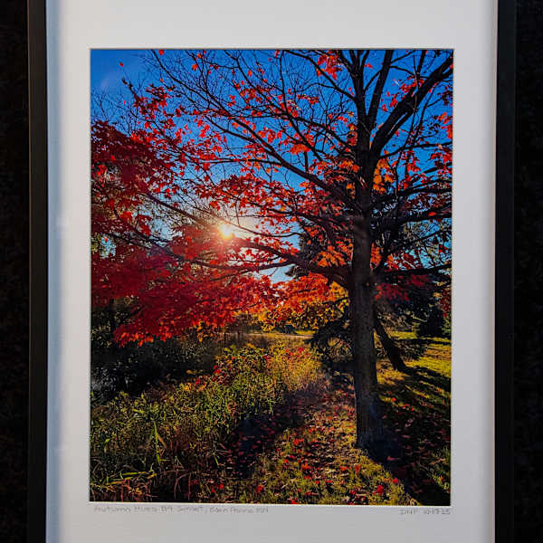 Autumn Hues Before Sunset by David Pedersen, Image 9.