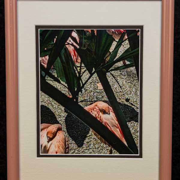 Pink Power Nap by Avery Ward, Image 4.