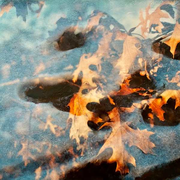 A Different View by Jodi Reeb, Image 5.