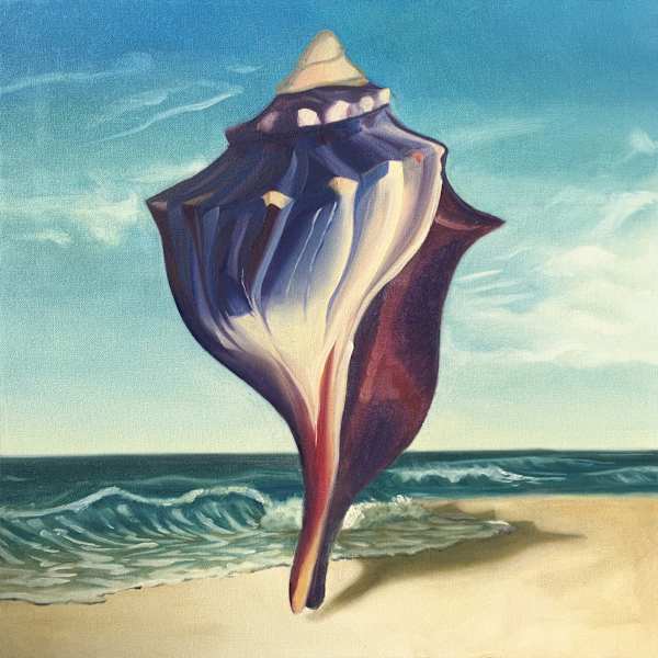 A Shell Found by S. Christopher Kuithe, Image 1.