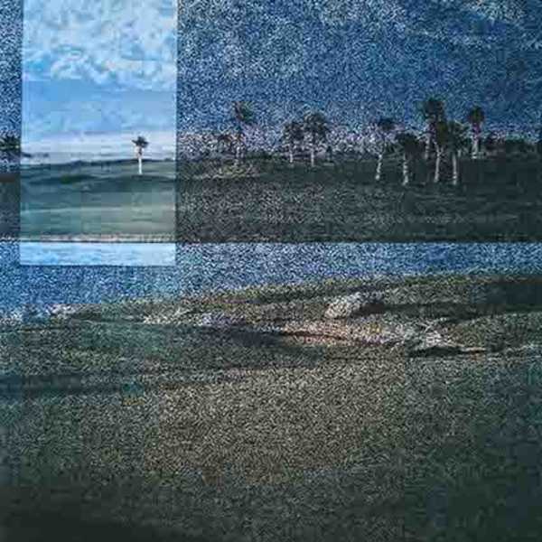 American Garden Series #11, Desert Palms by Vikky Alexander, Ellen Brooks, Image 1.