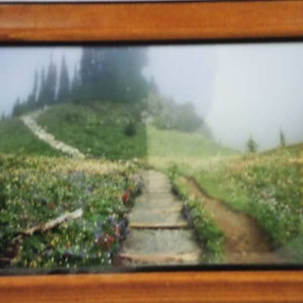 Untitled by Steven Larson, Dr. Sandy Cok, Image 1.