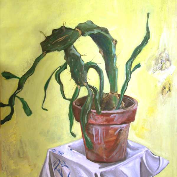 El cáctus by Marcia Schvartz, Image 1.