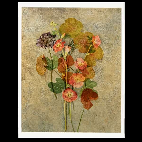 Bouquet #1 by Jon Burris, Image 1.