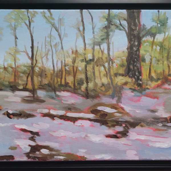 Snowfall in Louisiana by David Boucher, Image 3.