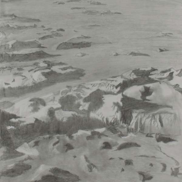 Flying Home by Ann Cronin, Image 2.