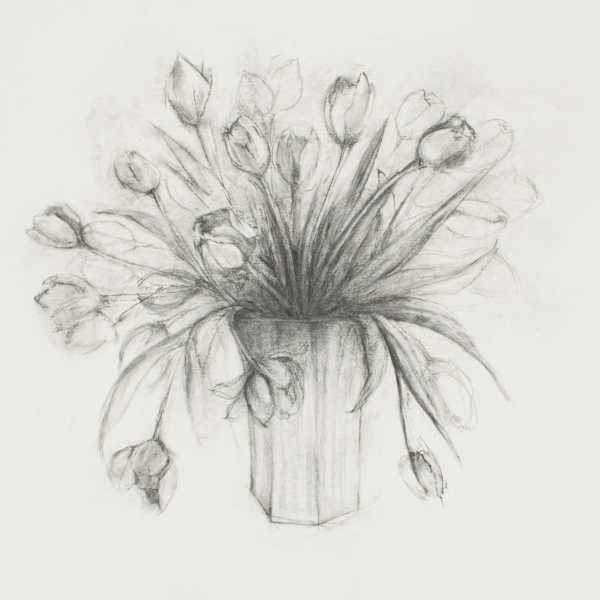 Tulips by Danielle S. Murphy, Image 15.