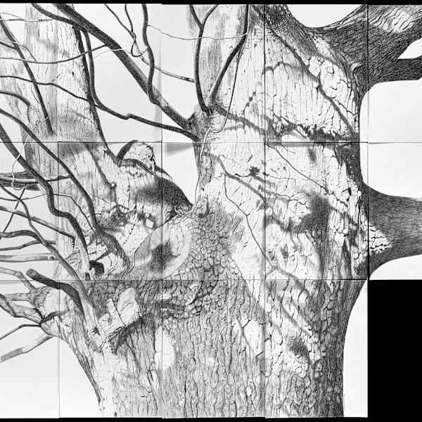 Verulam III by Donna Leavitt, Image 1.