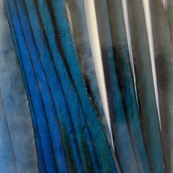 Edge of Air by Suzie Mulligan, Image 1.