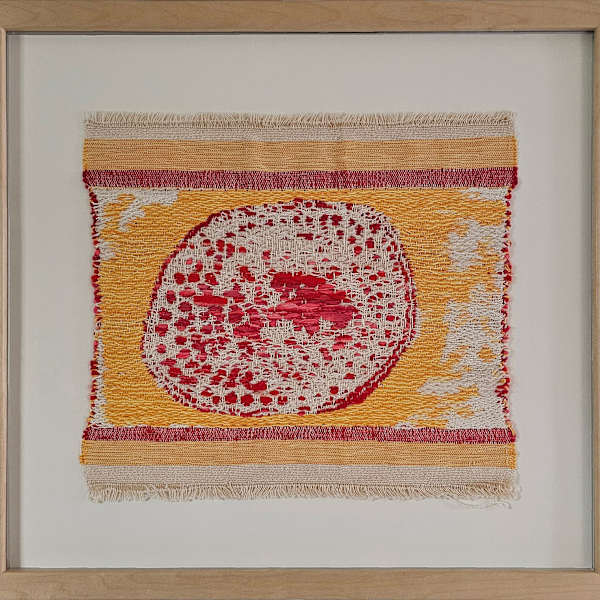 Cross-section by Helena Sarah Richardson, Image 1.