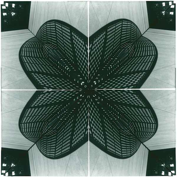 Snowflake 6 by Devin Gaan, Image 2.