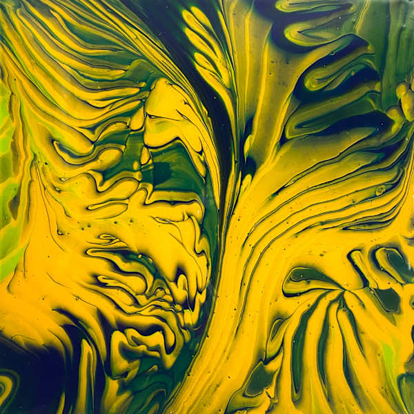 Feathered by Frances Sasport, Image 2.