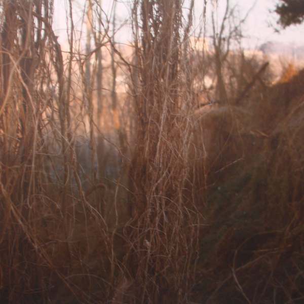 This Is Nowhere, #1 by Dawn Roe, Image 1.
