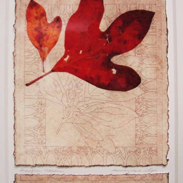 SASSAFRAS I by Rosemary Stiefel, Image 1.