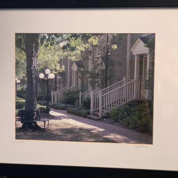 The Bricks by Debbie Young, Image 1.