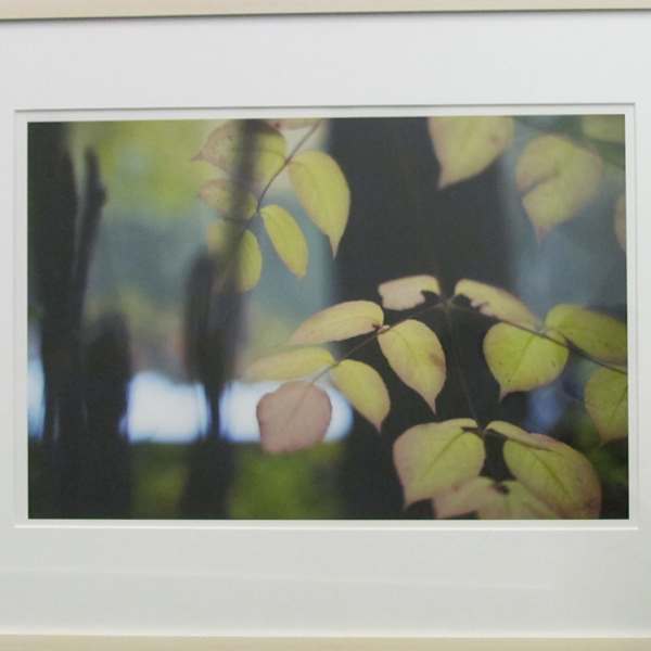 Aralia by Kathryn Kolb, Image 1.