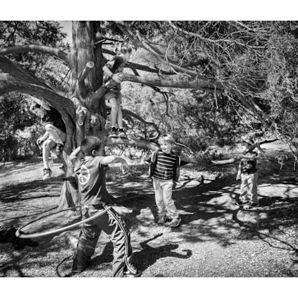 The Happy Tree by Robin Canty, Image 2.